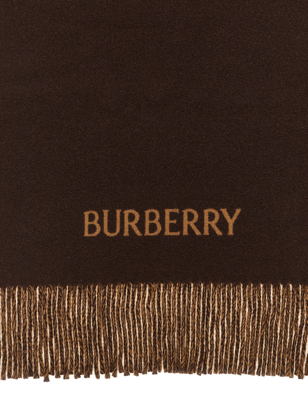 Burberry Multicolor Cashmere Scarf